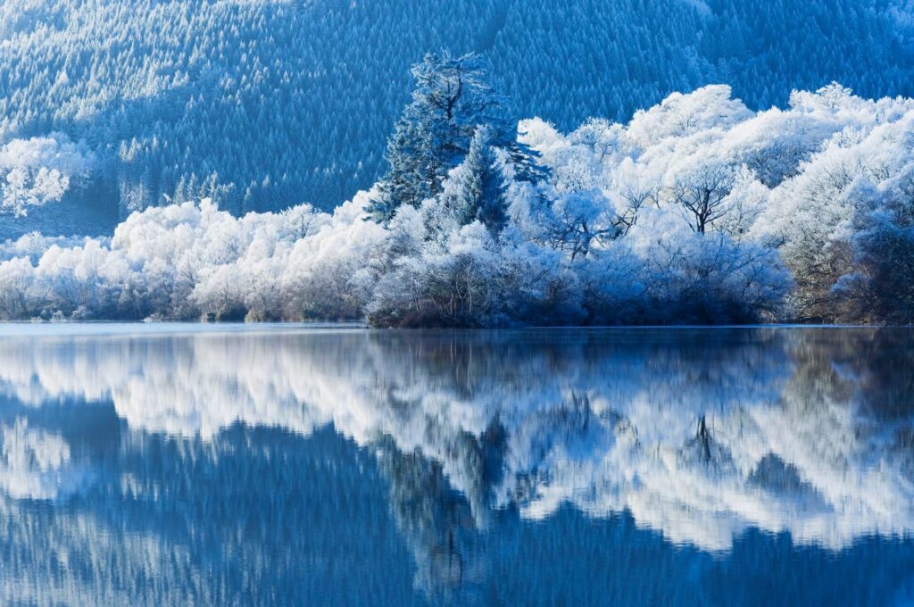 冬の湖の景色