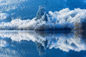 冬の湖畔風景
