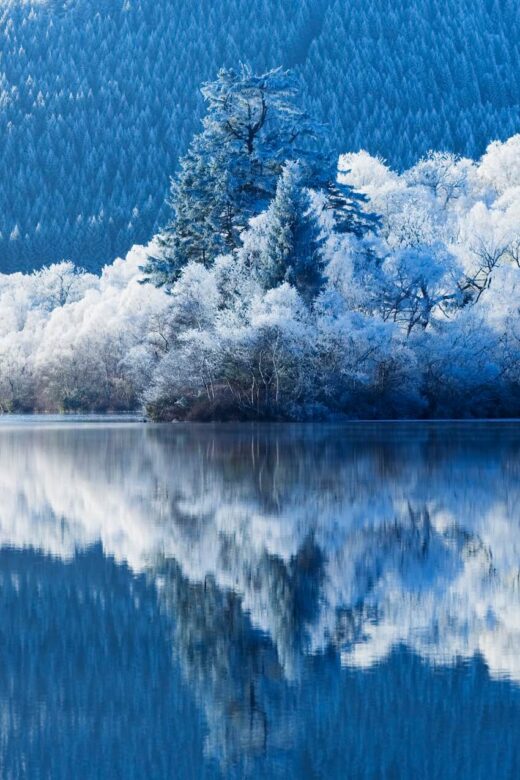 冬の湖畔風景