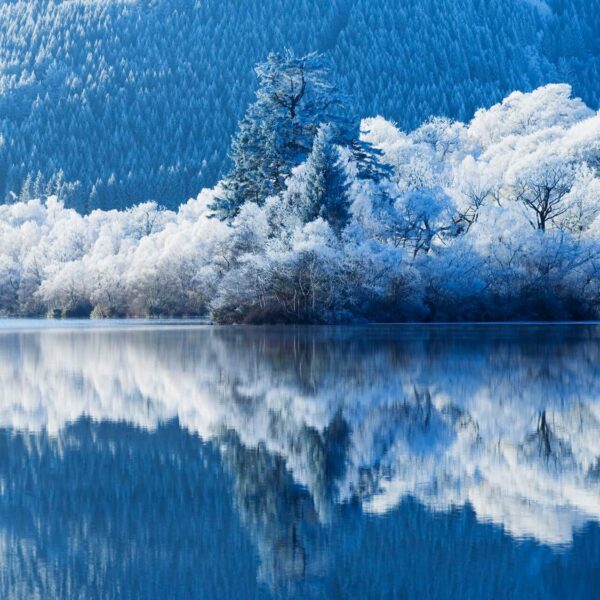 冬の湖畔風景